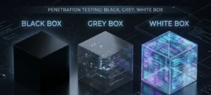 Black-Box-vs-Grey-Box-vs-White-Box-Pentest